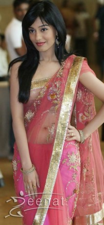 Amirta Rao In Pink Saree at Ritesh Genelia Wedding